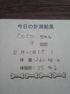 ���N������c