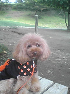 �~�b�h�^�E���Ȃ�