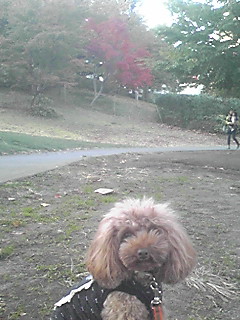 �~�b�h�^�E��