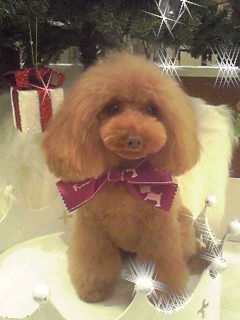 �g���~���O