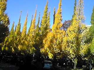 �O���U��