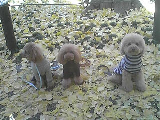 �p�V����!